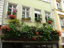 Heidelberg